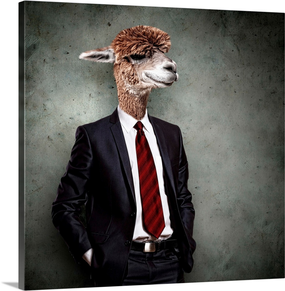 Portrait of a funny camel in a business suit