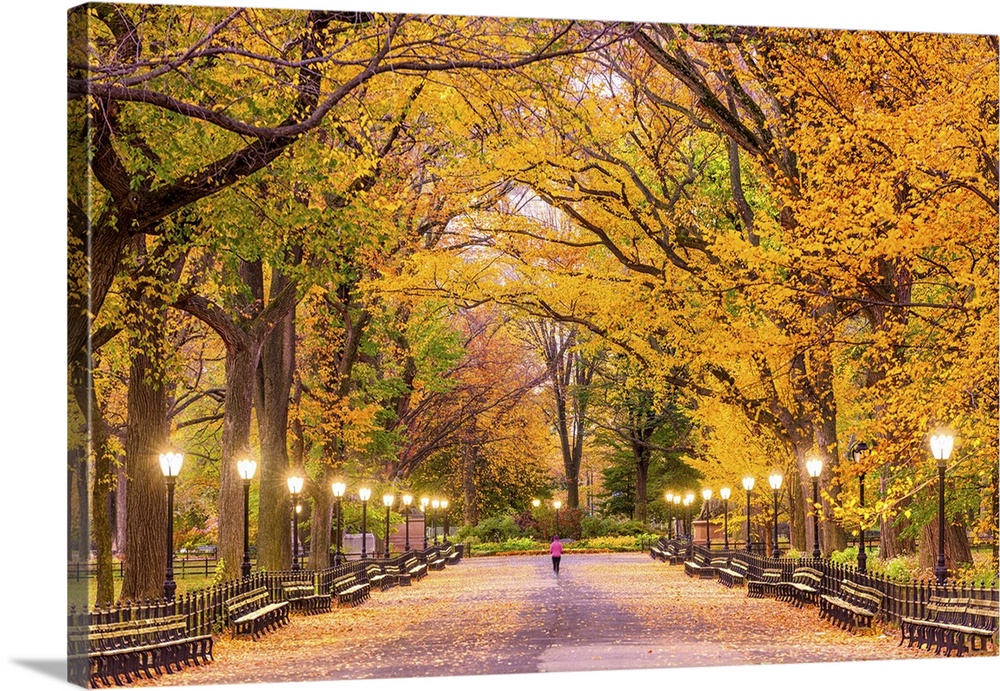 Central Park In Autumn, New York
