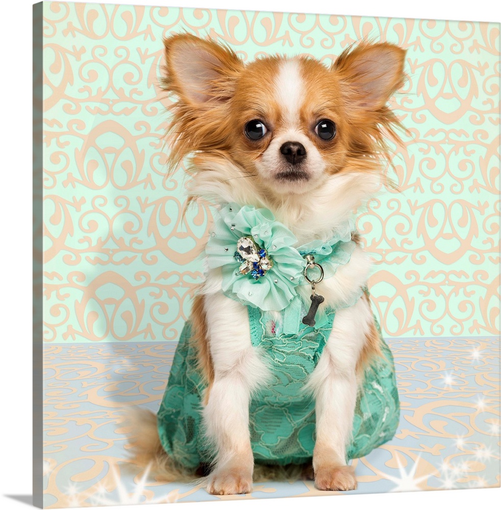 Chihuahua wearing a green dress, sitting on fancy background