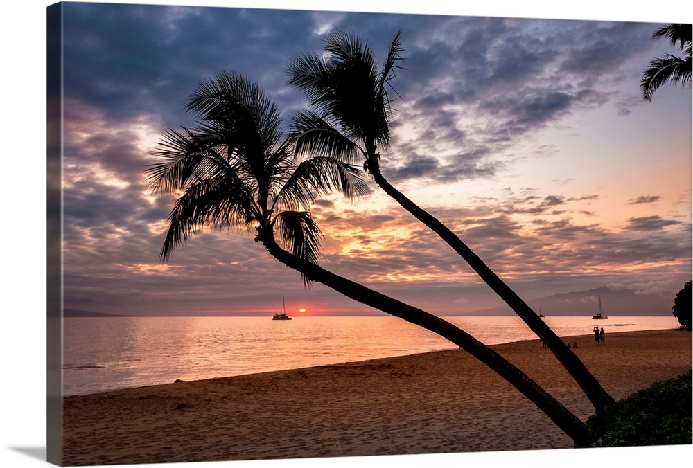 Silhouette of coconut palm trees at sunset from the beaches of Kaanapali resort on the tropical island of Maui, Hawaii.