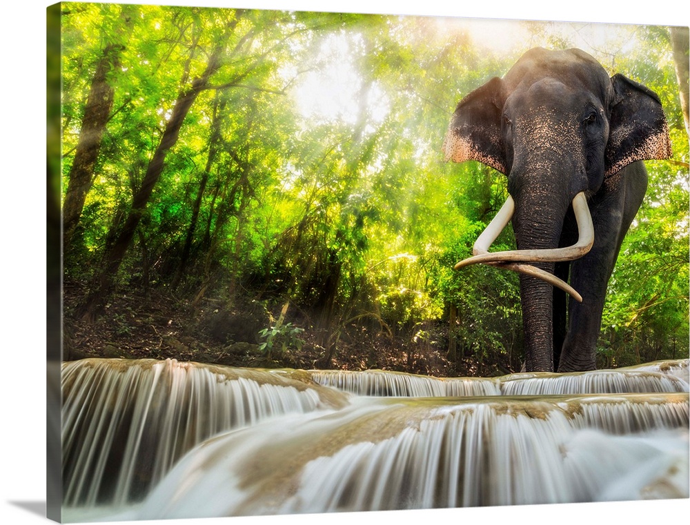 Erawan Waterfall with an elephant Kanchanaburi Thailand.