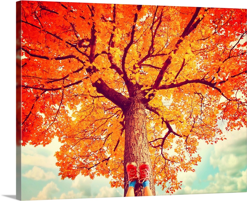 feet resting on a tree trunk during fall when the leaves are turning colors toned with a retro vinta