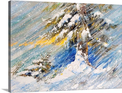 Fir Tree In The Snow