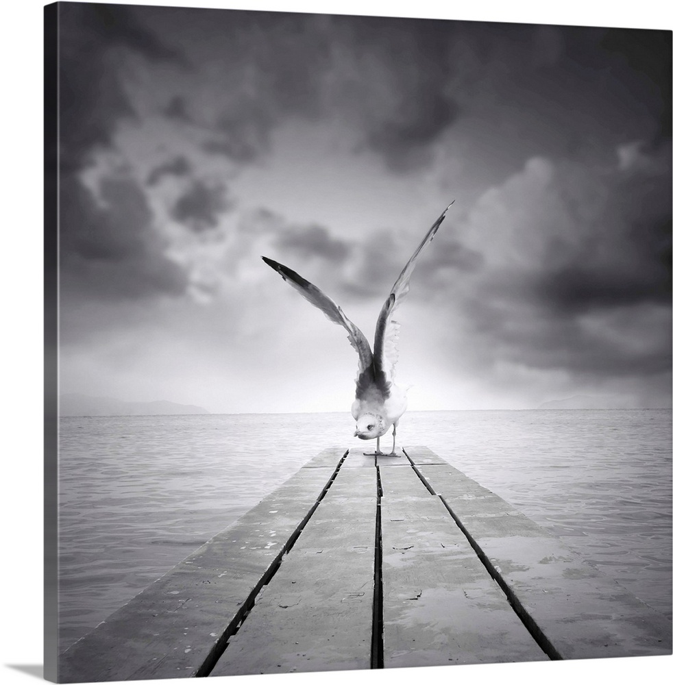 Canvas Prints, Photographic Products