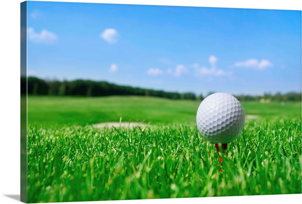 Golf ball in grass.