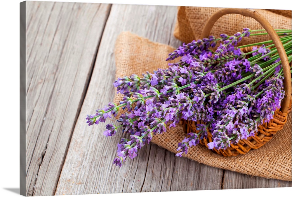 Lavender Flowers In A Basket With Burlap On The Wooden Background.