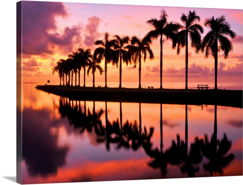 Line of silhouetted palm trees reflected in still water in Florida.