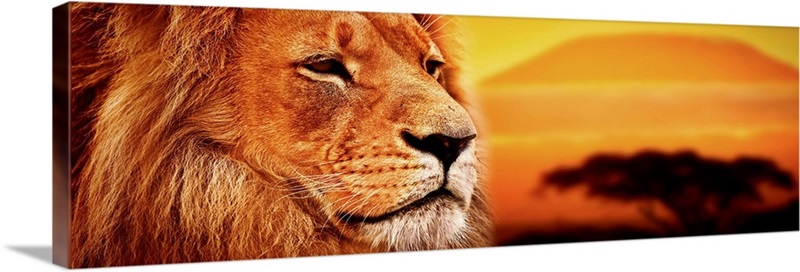 Lion portrait on savanna landscape | Great Big Canvas