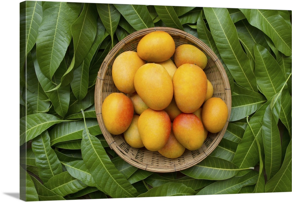 Mango tropical fruit in wooden basket put on green leaf background, top view.