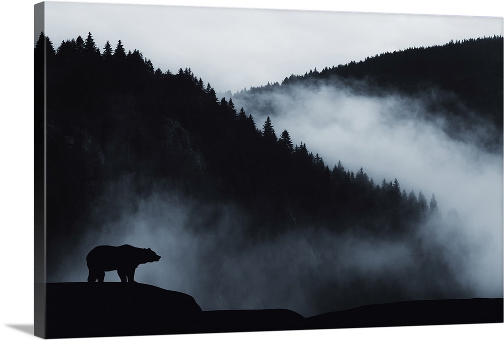 Minimal wilderness landscape with bear silhouette and misty mountains.