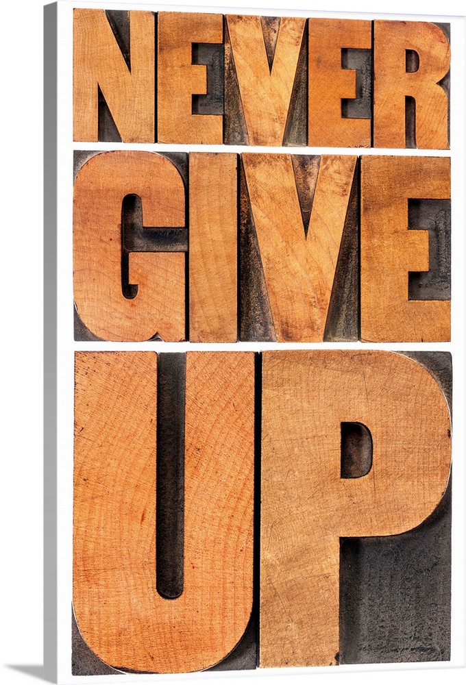 never give up - isolated phrase in vintage letterpress wood type, scaled to rectangle