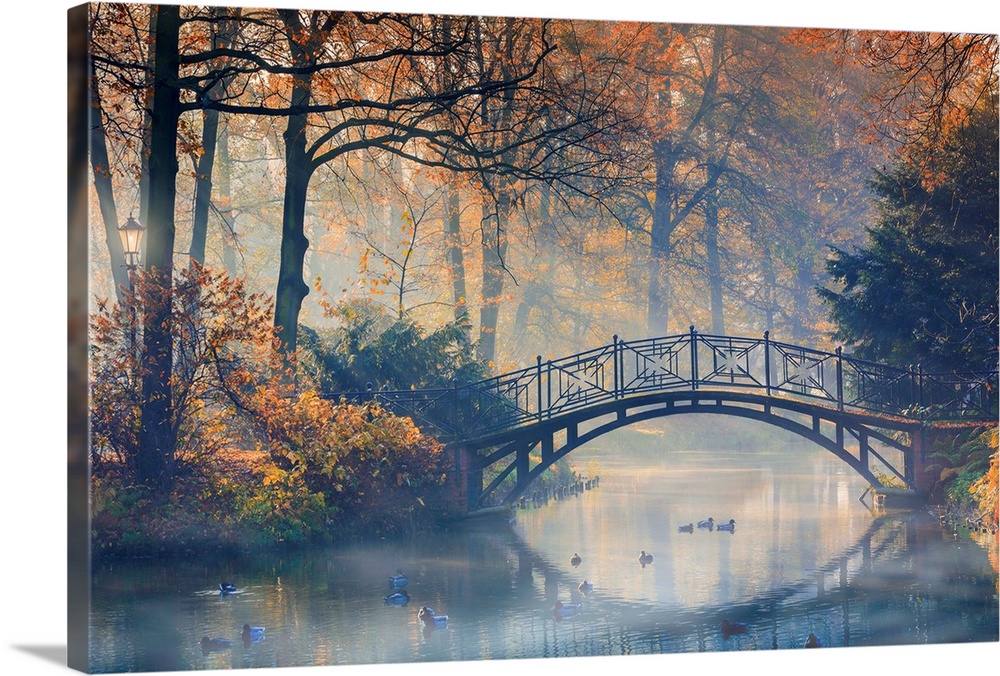 Old bridge in misty park at autumn.