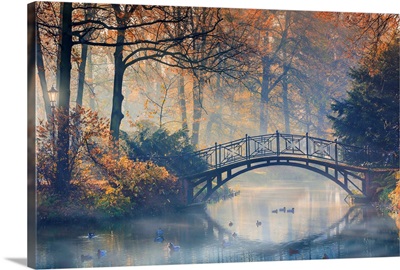 Old bridge in misty park at autumn