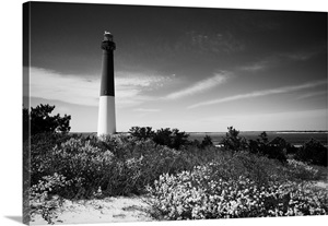 Path To A Lighthouse image thumbnail