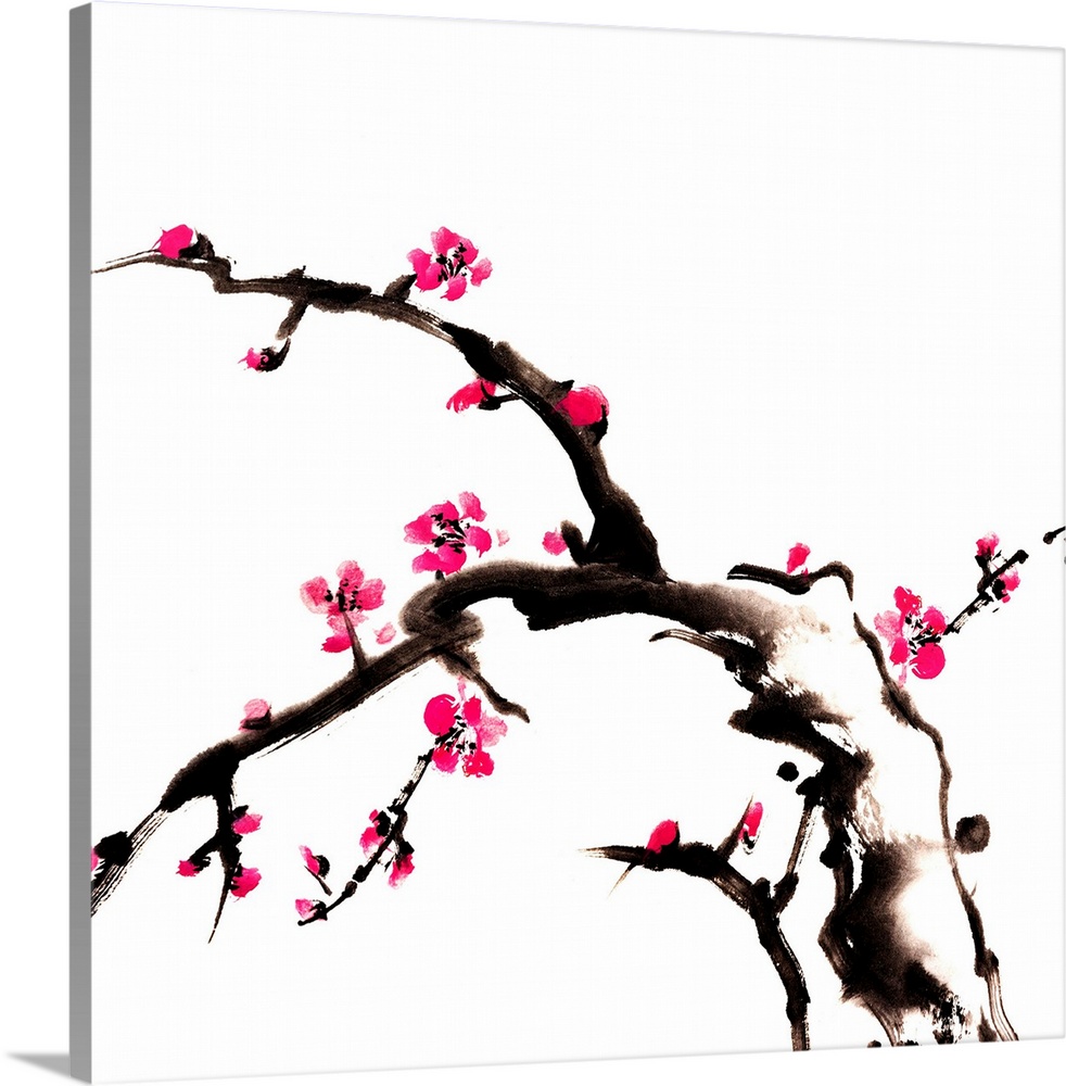 Chinese painting of flowers, plum blossom, on white background