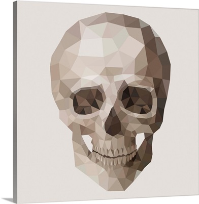 Polygonal Skull