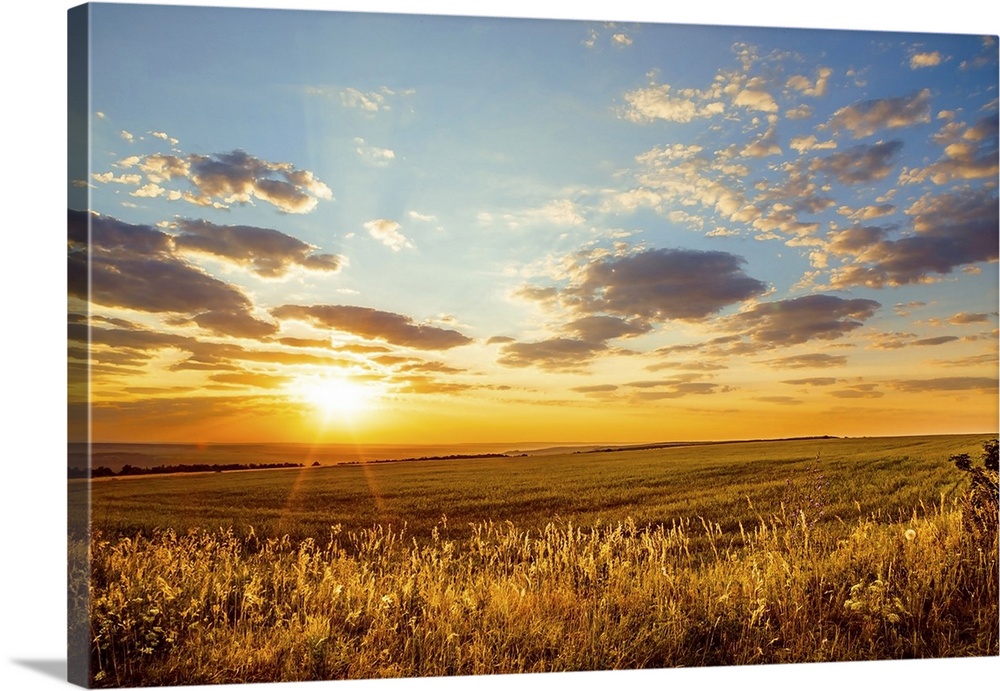 Saratov region, travel, landscape and nature of Russia. Yellow golden orange dramatic dawn at dawn or dusk over endless fi...