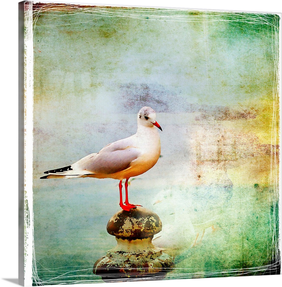 sea gull-artistic retro styled picture