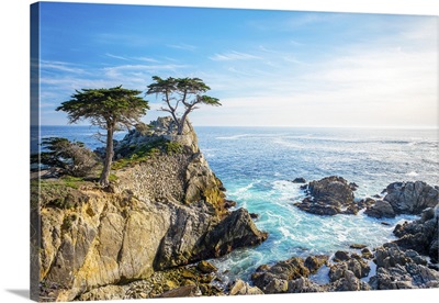 The Lone Cypress, Seen From The 17 Mile Drive, Pebble Beach, California