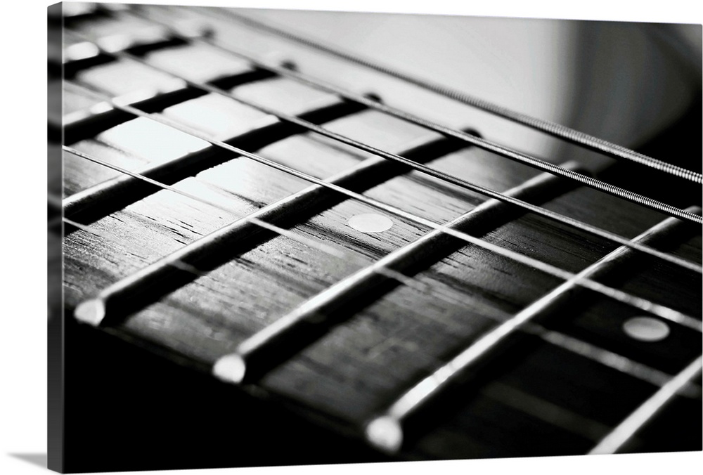 The endless strings of electric guitar in black and white.