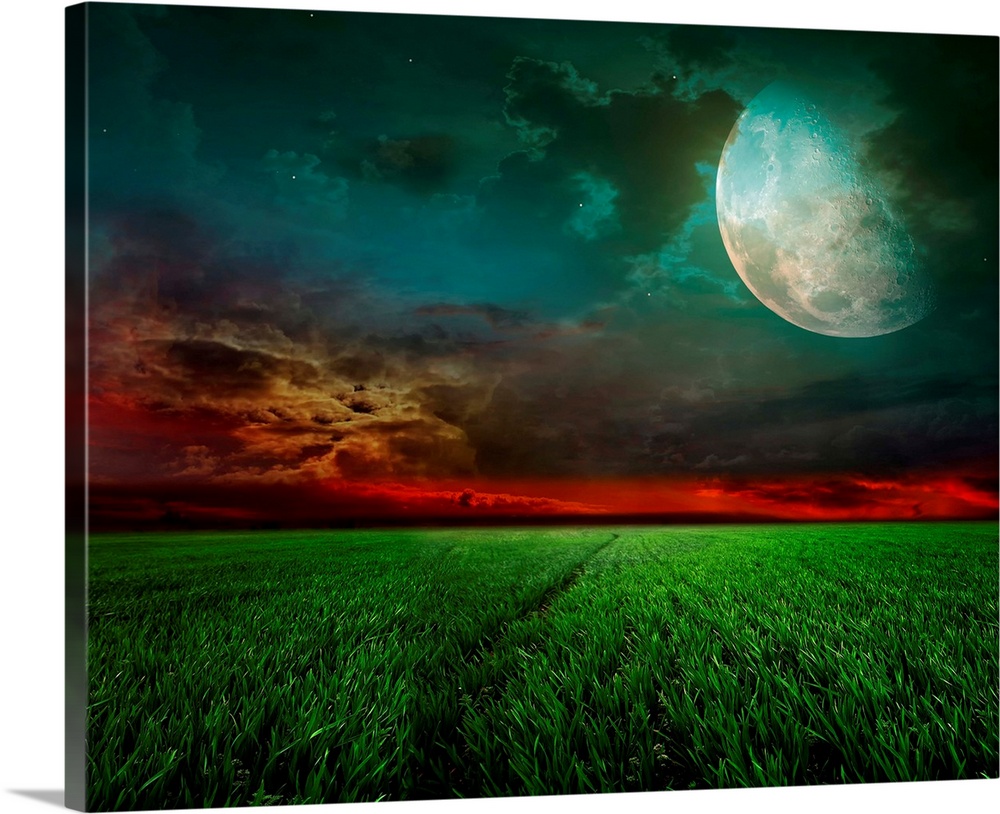 young wheat field at night with the moonlight