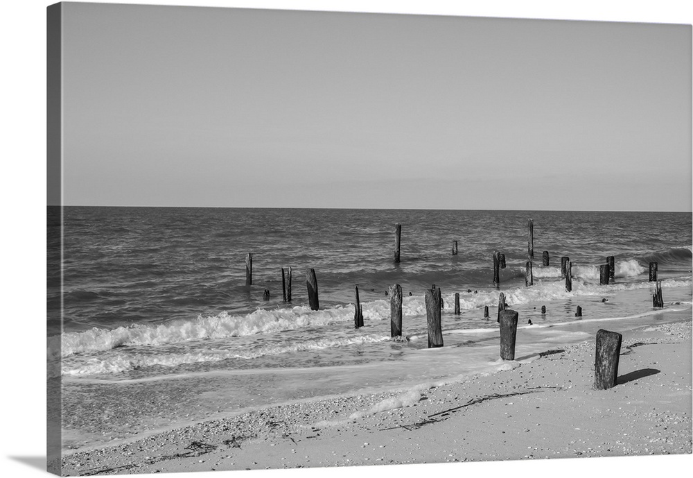 Exterior daytime black and white stock of wooden pylons rising from the sand on Cape May, New Jersey beach on the Delaware...