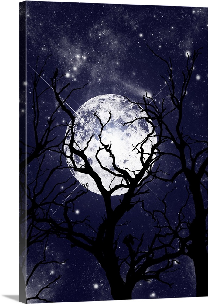 Silhouettes of bare trees in front of a large full moon and a night sky full of stars.