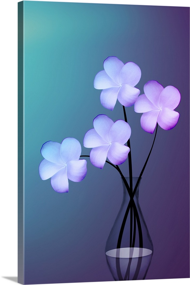 Four lavender flowers in a clear glass vase.