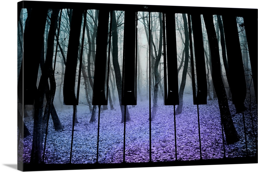 A gloomy forest with twisted bare trees is pictured onto piano keys.