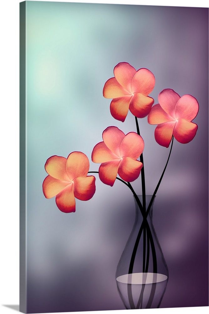 Four coral pink flowers in a clear glass vase.