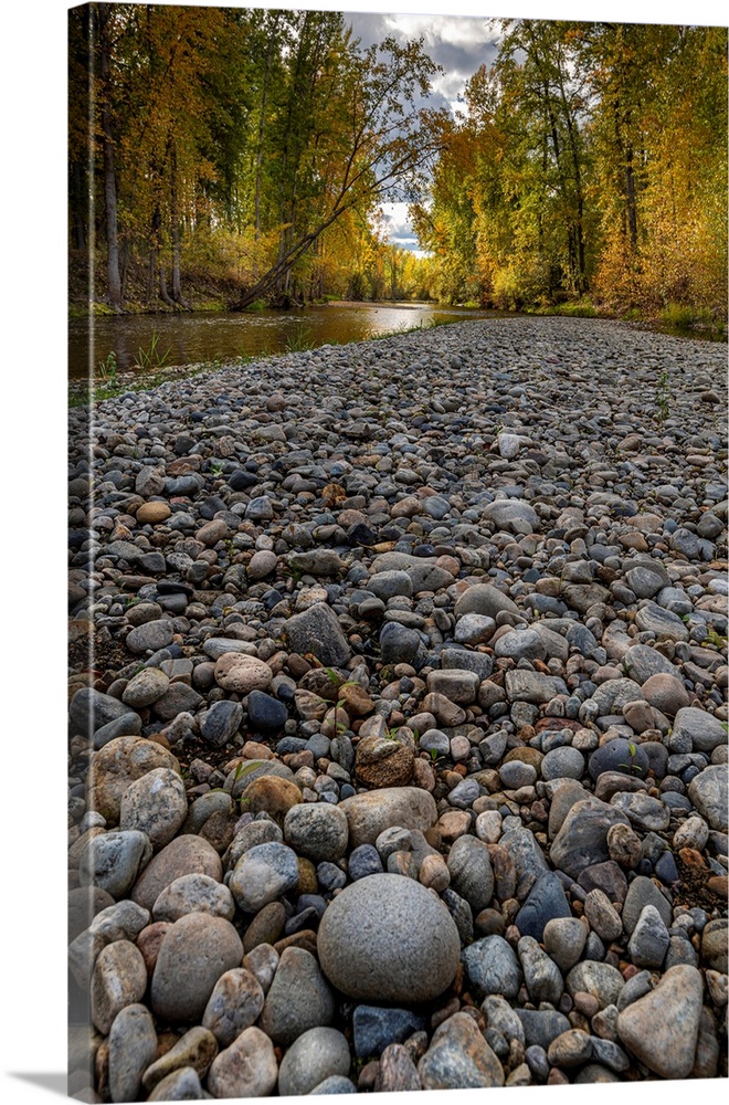 A rocky creek bed in the splendor of Canadian fall colors.