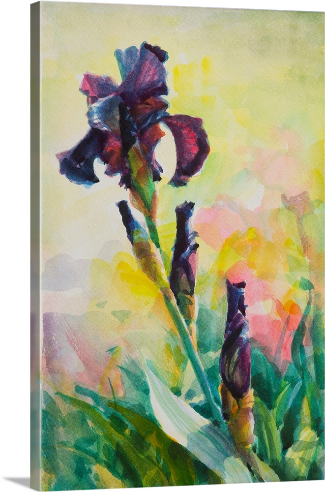 Traditional impressionist watercolor painting of a blooming purple beaded iris in a spring country garden