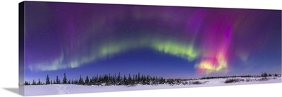 150 Degree Panorama Of An Aurora In Deep Twilight, Churchill, Manitoba, Canada