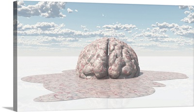 3D Rendering Of A Human Brain Melting