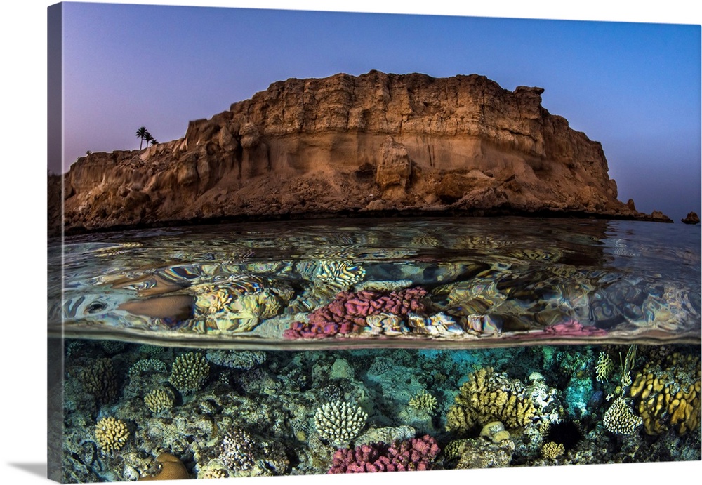 A beautiful coral reef sits just under the surface of the water near a desert mountain.