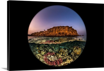 A Beautiful Coral Reef Sits Just Under The Surface Of The Water Near A Desert Mountain
