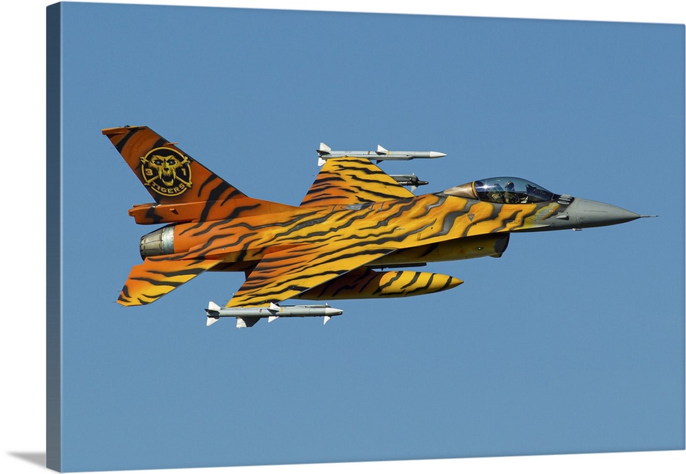 A Belgian Air Component F-16 Fighting Falcon, painted in tiger colors for the NATO Tiger Meet, in flight with live AMRAAM ...