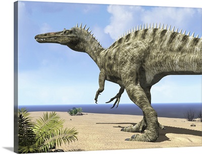 A carnivorous Suchomimus wanders a beach on the ancient Tethys Ocean