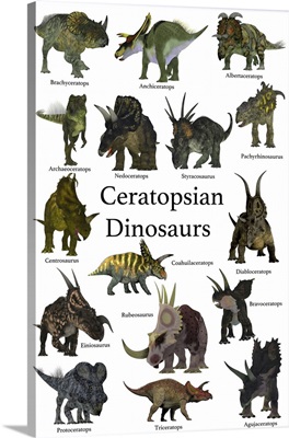 A Collection Set Of Ceratops Beaked Dinosaurs From The Cretaceous Period