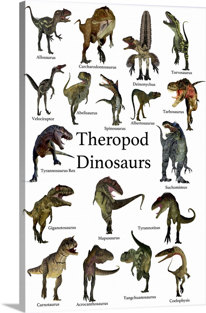 A collection set of theropod carnivorous dinosaurs from the Cretaceous, Jurassic and Triassic Periods.