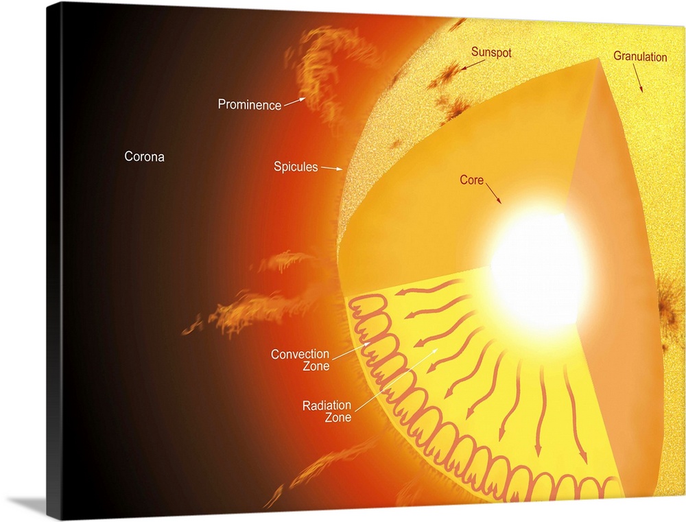 A cutaway view of the sun, showing its different parts and the currents that flow within it.