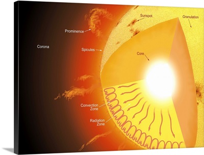 A cutaway view of the sun