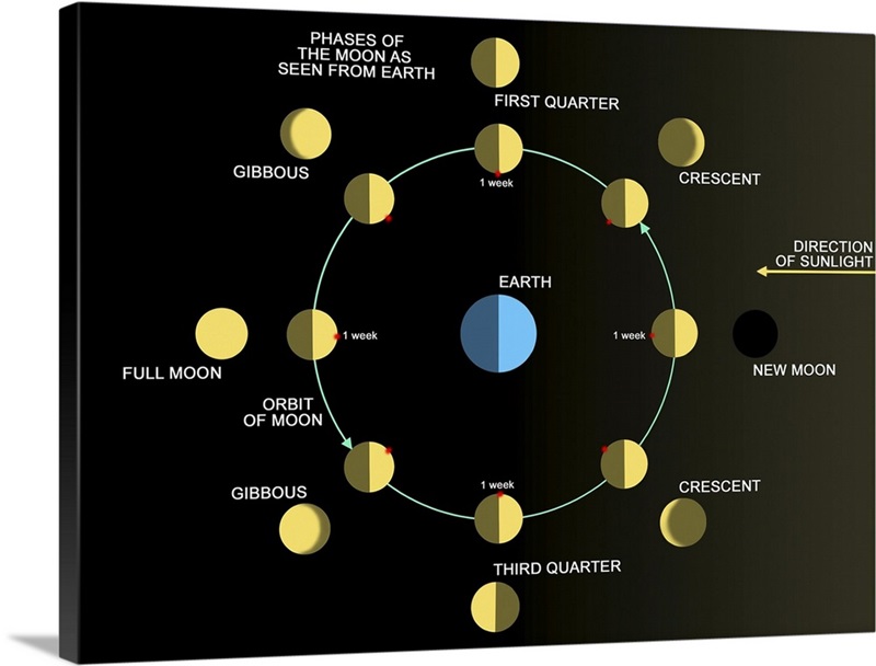 full moon diagram