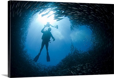 A diver above a chimney like opening in a school of black striped salema