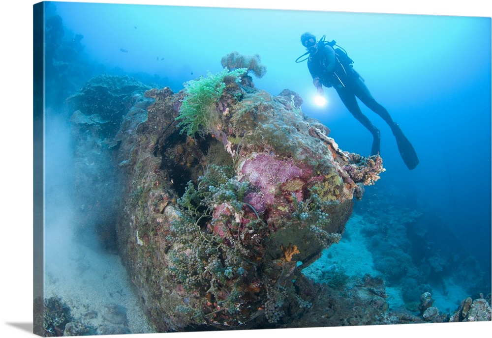 A diver explores the wreck of a U.S. truck, Solomon Islands.