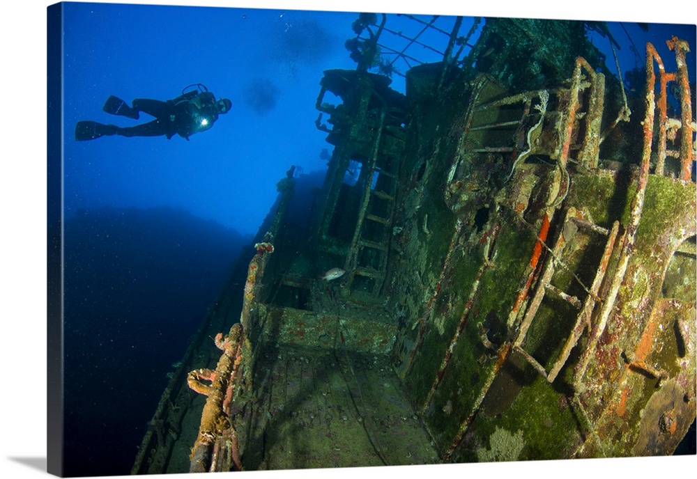 A diver explores the wreck of the Soltai 61, Solomon Islands.
