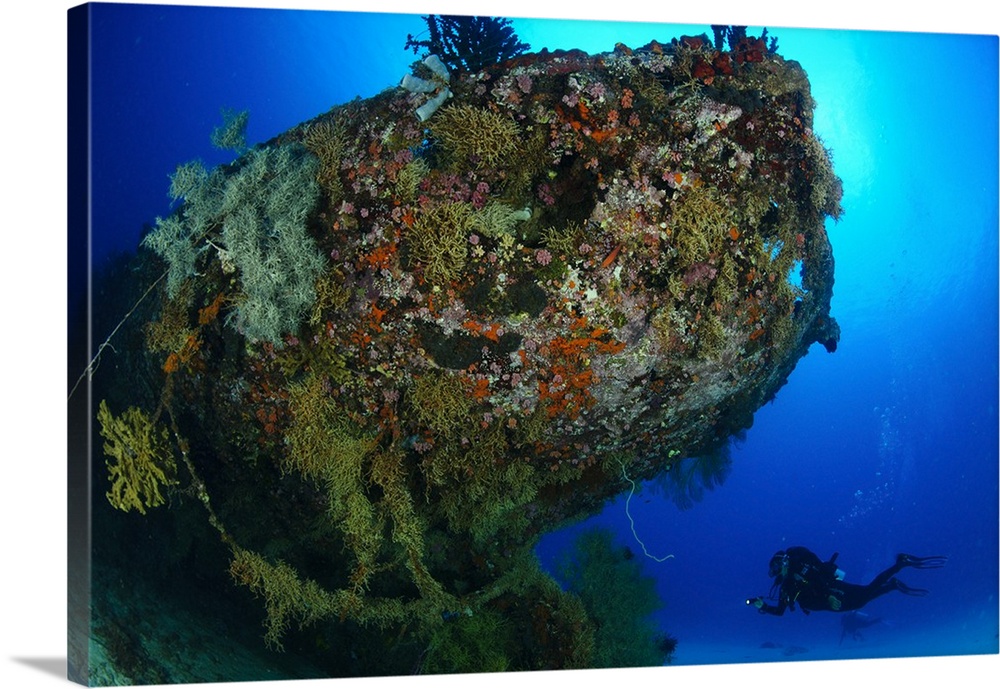 A diver under the coral encrusted stern of the Japanese Cross Wreck.