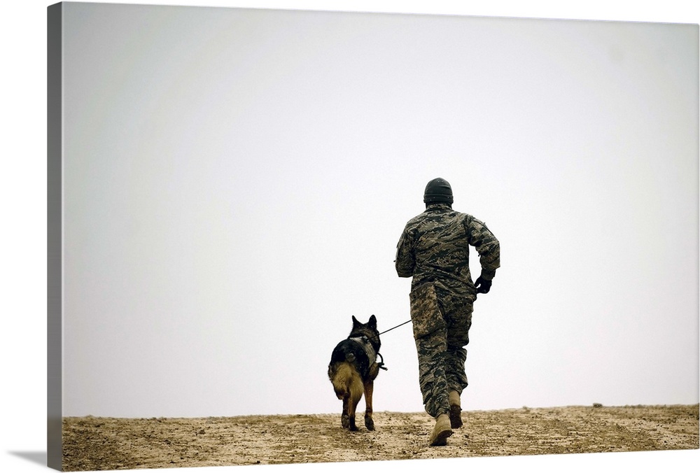 A dog handler and his military working dog take a brisk walk.