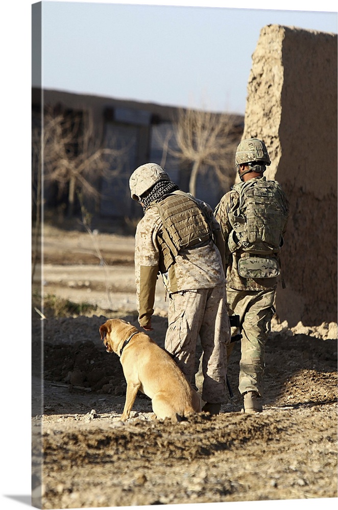 A dog handler takes care of his military working dog that is trained to detect military and home made explosives.