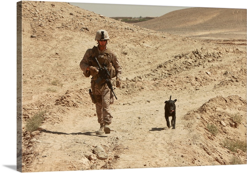 A dog handler walks with an explosives detection dog while on patrol.